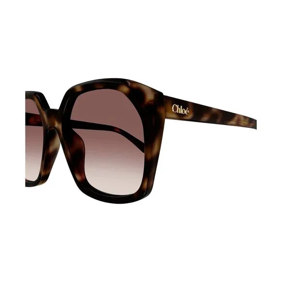 New CHLOE Havana Square CH0280S 006 Sunglasses Women - Picture 3 of 4